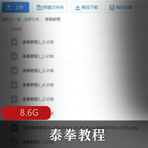 b站尚晓峰（泰拳教程）视频教程